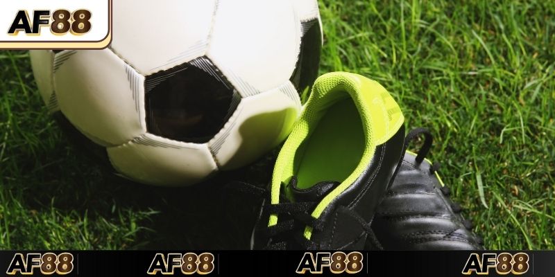 Giới thiệu về tỷ lệ bóng đá